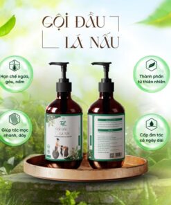 Dầu gội đầu, giúp: làm sạch da đầu và tóc, giúp làm sạch gàu, làm thoáng lỗ chân lông, giúp cải thiện tình trạng tóc xơ, rối, gãy rụng, chẻ ngọn, cho mái tóc trông suôn, bóng mượt và chắc khỏe hơn. Góp phần ngăn ngừa gàu.