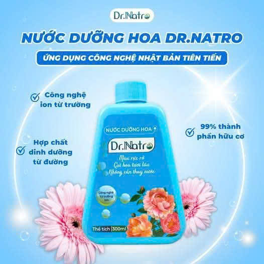 ☘☘ 𝐍𝐔̛𝐎̛́𝐂 𝐃𝐔̛𝐎̛̃𝐍𝐆 𝐇𝐎𝐀 𝐃𝐑 𝐍𝐀𝐓𝐑𝐎