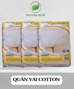 Quần Lót Cotton Nữ Cao Cấp – Bịch 5 Cái, Co Giãn Tốt, Thoáng Mát, Thấm Hút Mồ Hôi, Mềm Mịn Dễ Chịu